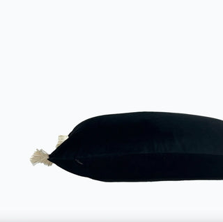 Black Velvet and Ivory Fringe Throw Pillow