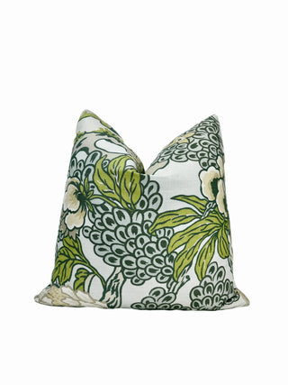 Thibaut Honshu Robin egg prmary