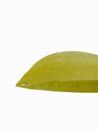 citron velvet zipper